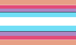 Namegender flag