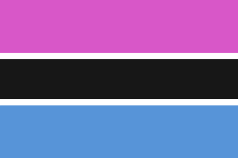 File:New Protimogender Flag.png