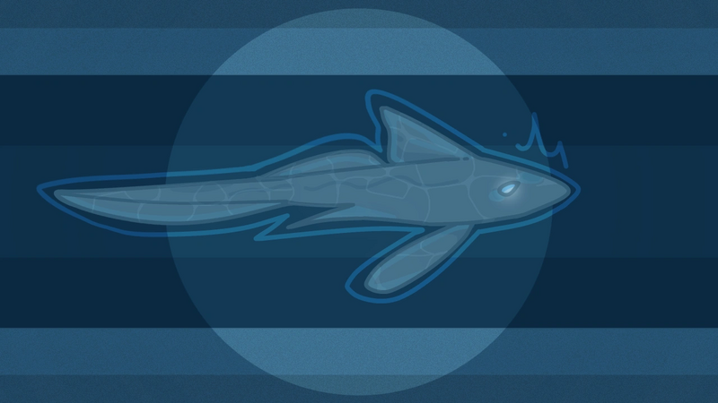 File:Ghostshark.png