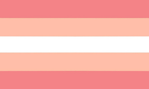 Transfeminine flag9.jpg
