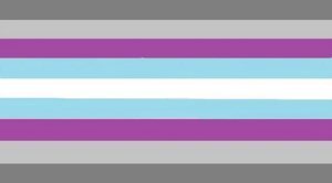 Demiboyflux flag