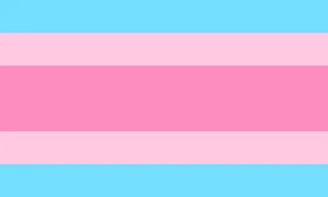 Transfemflagic.png