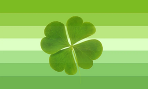 First alternate flag