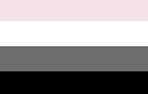 Transerrgender flag.webp