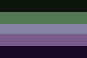 VoidbifluxFlag.webp