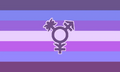 T-GNC (Trans GNC) flag[11]