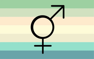 Verigender flag