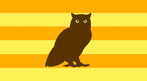 OwlTownflagfromOwl.jpg
