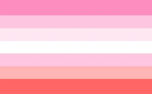 Travesti Woman Flag.jpg