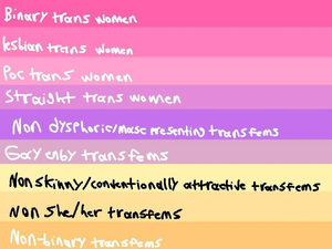 Transfem 16 meanings.jpg