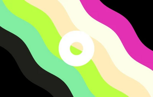 Palettegender 25.jpg