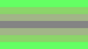 Pluilinea flag.png