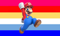 First Mariogender Flag by Unverified Creator[3]