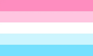 Alternate Male-Female Flag.webp