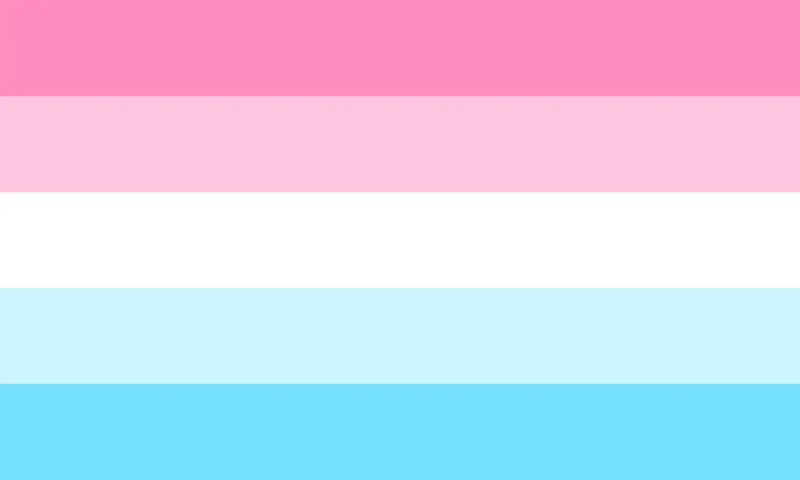 File:Alternate Male-Female Flag.webp