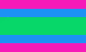 Polysexualflagic.png