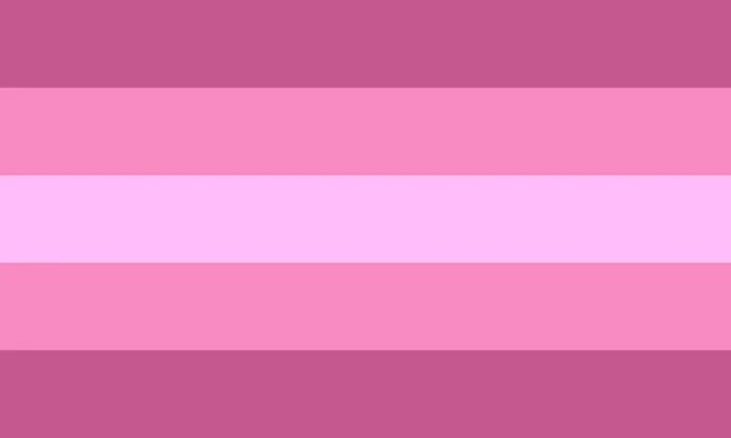 File:Transfeminine flag5.jpg
