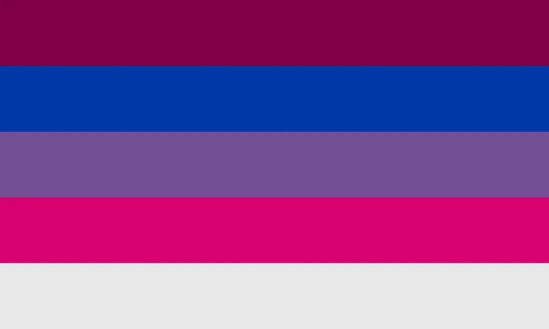 File:Genderbi by pride flags dchc2q0-pre.jpg