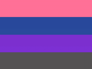Demiandrogyne flag.webp
