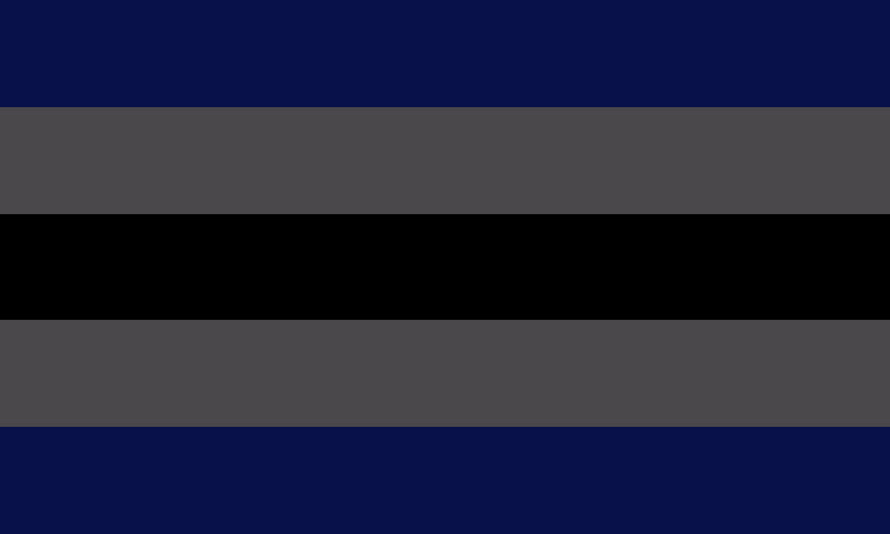 File:Gendervoid flag.png