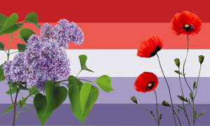 Poppiesandlilacsgender flag