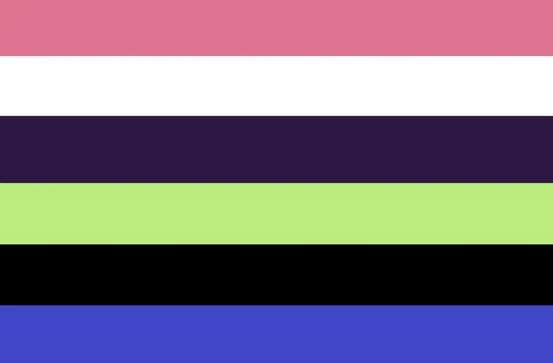 File:Alt2 Concegender Flag.jpeg