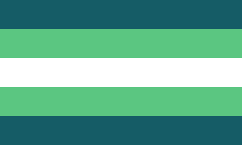 File:Transmasculism flag.png