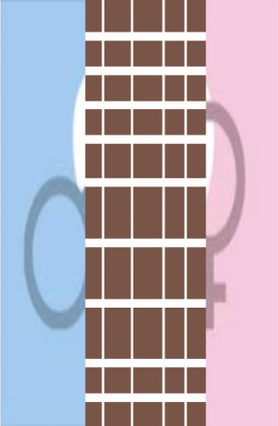 File:WallcisORWallcisgenderFlag.png