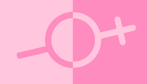 0girlmodeflag.webp