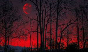 Background image artuitt.jpg