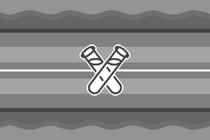 Genderscientist System Template.jpg