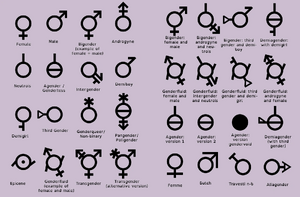 Genders11.png