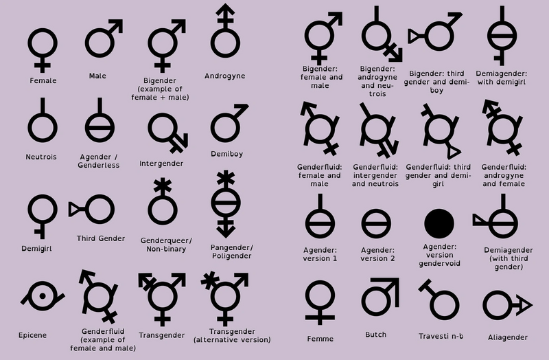 File:Genders11.png