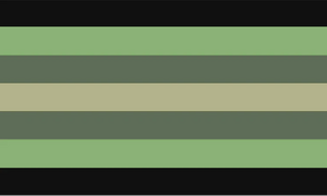 Hauntedtelevisiongender alt flag 2.webp