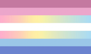 Bigender Demifluid Flag.png