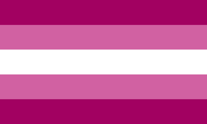 File:Femme lesbian flag.png