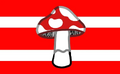 Thirteenth mushroomgender flag by Spenciisgay[2]