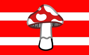 Mushroomgender flag thirteen.jpg