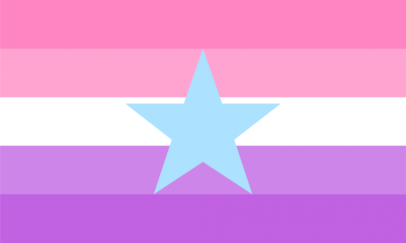 File:Evaisgender Flag.png