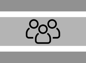 Publigender flag.png