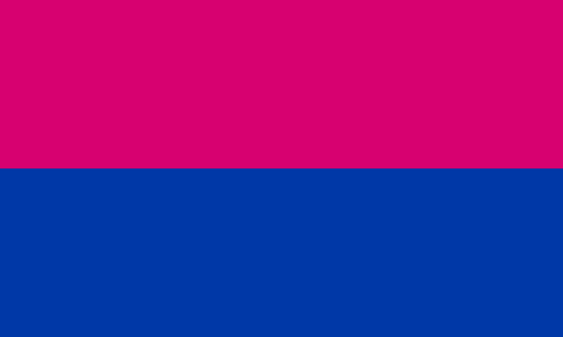 File:Cisgender Flag.png