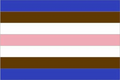 Tomboy Flag by Beyond MOGAI Pride Flags