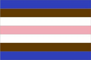 Tomboy Pride flag.png