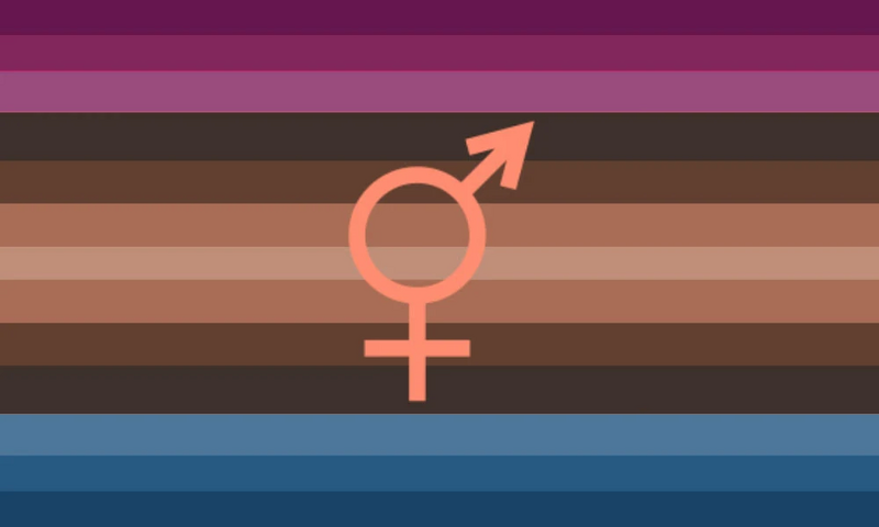 File:Burrowowlboygirl flag.jpg