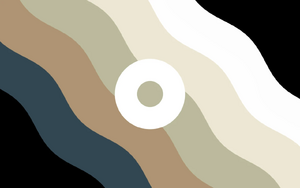 Palettegender 155.jpg