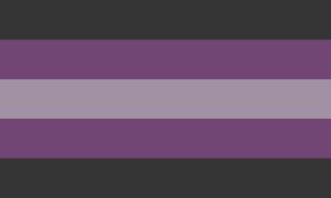 Alternate Vapogender Flag.png