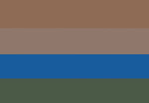 Rainduskgender Flag.png