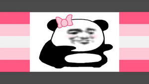 Biaoqingpandagirl.jpg