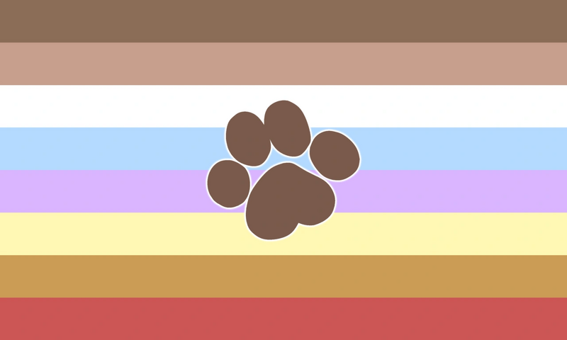 File:Cozypupian recoin flag.png