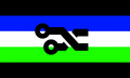 Gendertech Flag by Tumblr user gendertech[3]